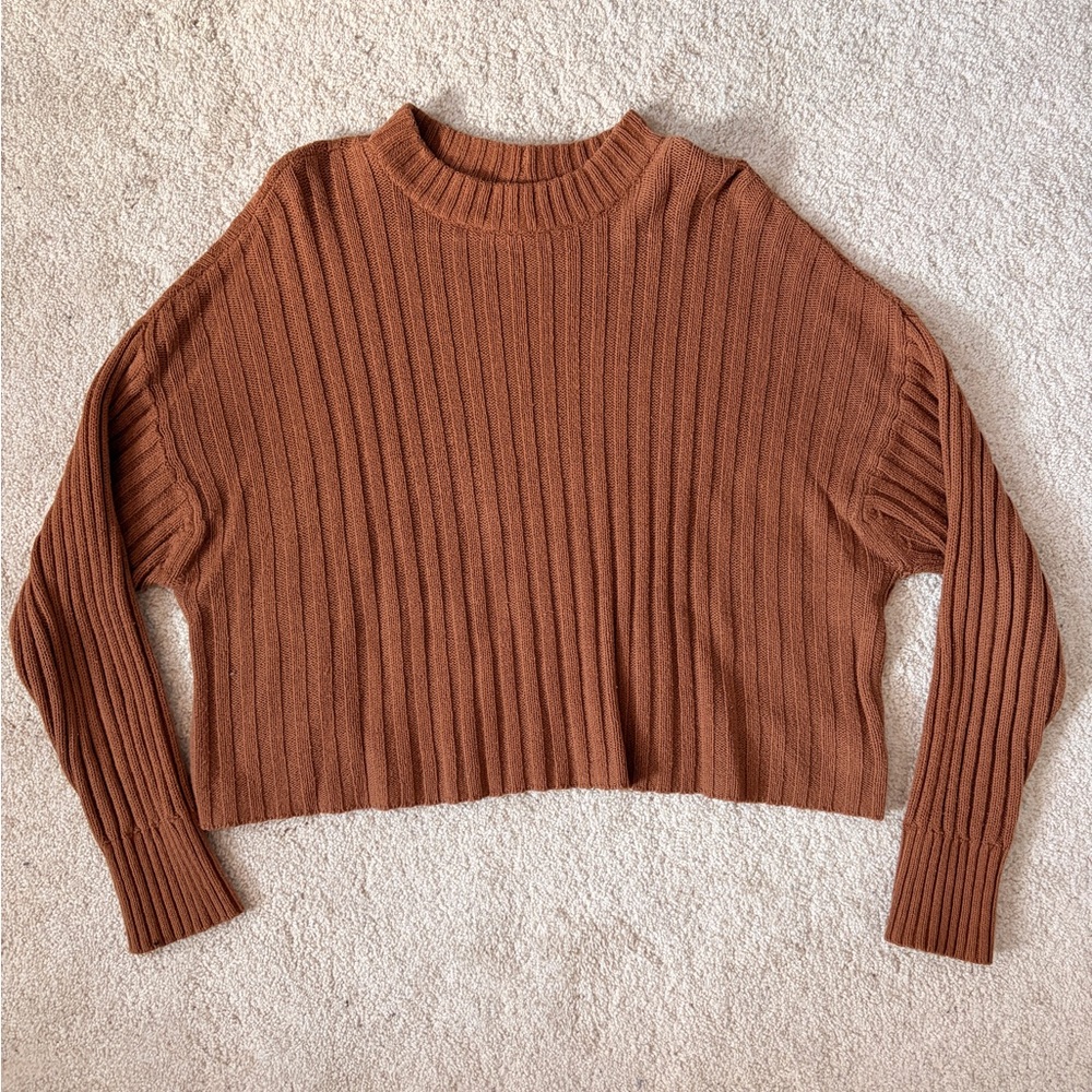 American Eagle Cropped Sweater